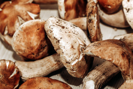 Boletus edulis on a table made of brown boards preparation for eating.の写真素材