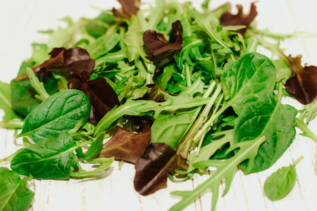 Mix of lettuce leaves different types on the table.の写真素材