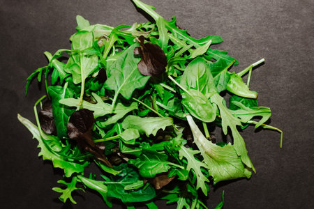 Mix of lettuce leaves different types on black table.の写真素材