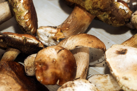 Boletus edulis on a table made of brown boards preparation for eating.の写真素材