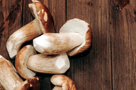Boletus edulis on a table made of brown boards preparation for eating.の写真素材