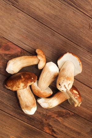 Boletus edulis on a table made of brown boards preparation for eating.の写真素材