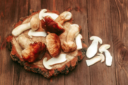 Boletus edulis on a table made of brown boards preparation for eating.の写真素材