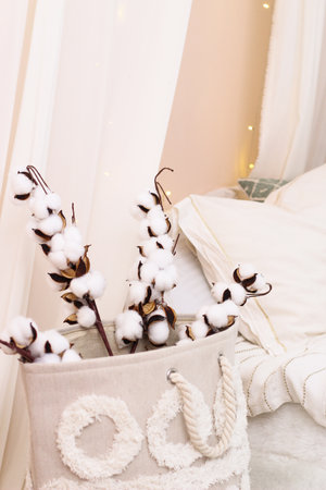 Sprigs of cotton stand in a vase as a decoration of the interior and decor.の写真素材