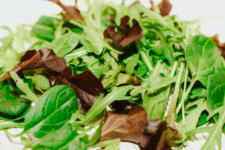 Mix of lettuce leaves different types on the table.の写真素材