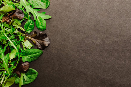 Mix of lettuce leaves different types on black table.の写真素材