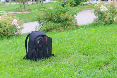 Photographer's backpack on a green lawn with grass.の写真素材