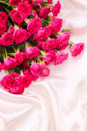 Small pink bush roses on a white silk background with a place for textの写真素材