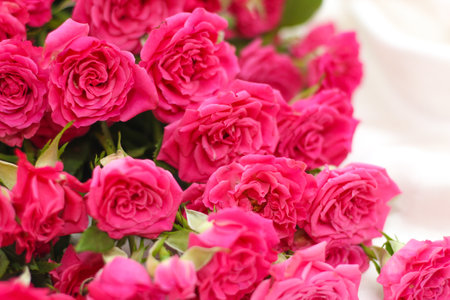 Small pink bush roses on a white silk background with a place for textの写真素材