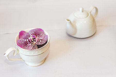 White ceramic teapot teapot with orchid on a white background.の写真素材
