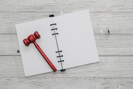 Notebook with rings, checkered sheets, court gavel for making decisions.の写真素材