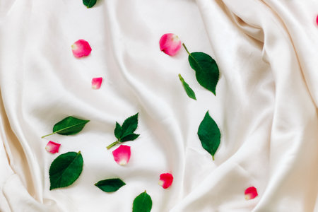 Petals of pink roses on a white silk background with space for text.の写真素材