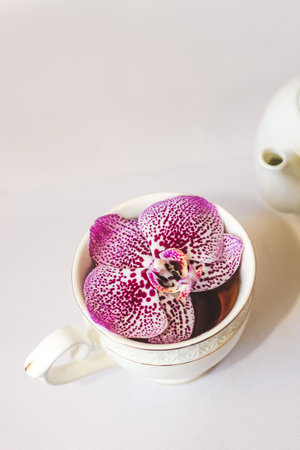 White ceramic teapot teapot with orchid on a white background.の写真素材