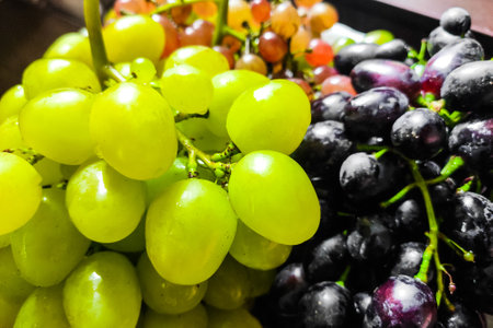 Purple and green grapes on twigs close-up.の写真素材
