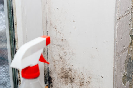 A blackened blooming fungus in the corner of the window, spray from the fungus.の写真素材