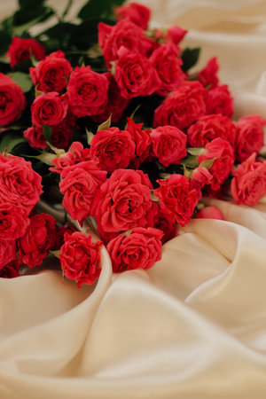Small red bush roses on a white background with a place for text.の写真素材