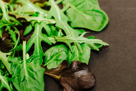 Mix of lettuce leaves different types on black table.の写真素材