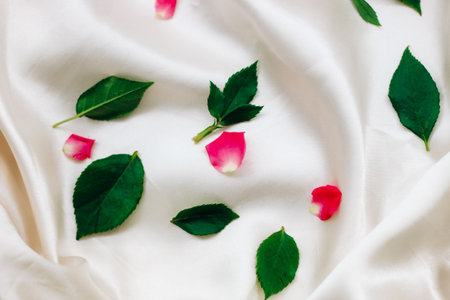 Petals of pink roses on a white silk background with space for text.の写真素材