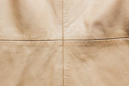 Brown leather jacket texture, genuine soft leather.の写真素材