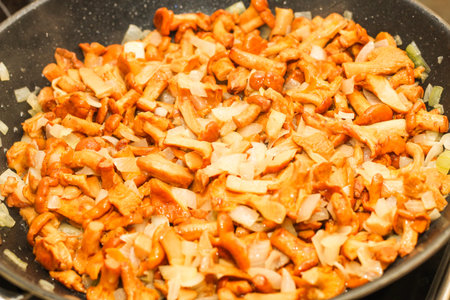 Cantharellus Cibarius, chanterelle mushrooms yellow cooking in a frying panの写真素材