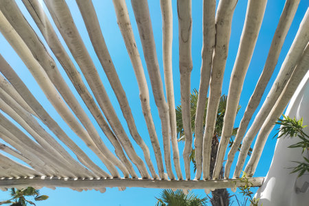 The roof of a tropical bungalow with a palm tree against the sky, protection from the sunの写真素材