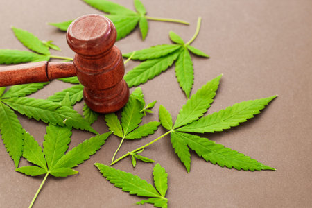 Marijuana and judge's gavel, concept of rights and lawの写真素材