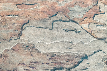 The texture of the gray plaster is textured close-up