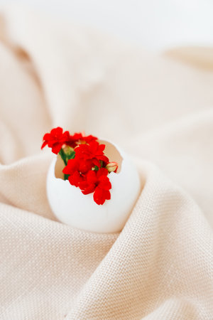 Red flowers in a white vase on a soft, beige fabric background creating a cozy atmosphereの写真素材