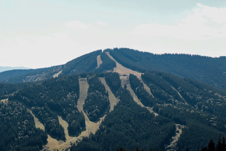Scenic view of a mountain featuring ski slopes and lush green forests under clear skies.の写真素材