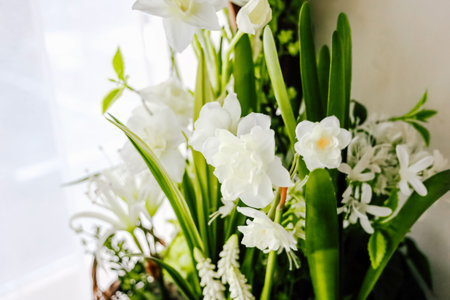 Delicate white flowers are arranged elegantly in a lush display, brightening the indoor space with natural beauty.の写真素材