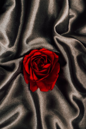 Beautiful red rose placed on luxurious black fabricの写真素材