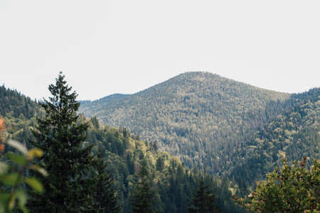 A vast panorama of rolling mountains covered in dense greenery, showcasing the beauty of nature on a...