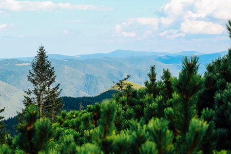Vibrant green trees frame a breathtaking view of distant mountains under a bright blue sky in...