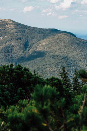 Dramatic peaks rise above a lush forest showcasing vibrant greenery and a tranquil atmosphere in midday light.の写真素材