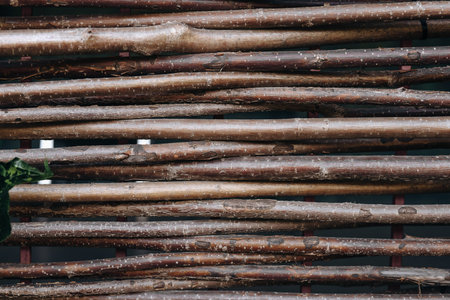 A collection of wooden sticks lays arranged neatly on a surface showcasing their natural textures and colors.の写真素材