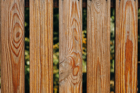 Close-up view of wooden fence planks showcasing a textured surface and warm tones amid greenery in a garden during daylight hours.の写真素材