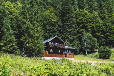 A rustic wooden cabin stands alone amidst a sea of tall green trees showcasing natures tranquility...
