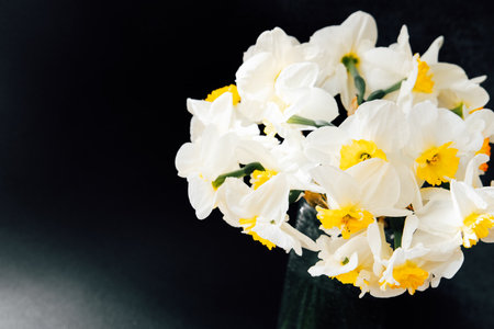 Vibrant daffodils with white and yellow blooms arranged in a sleek black vase stand out against a dark backdrop.の写真素材
