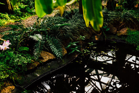 Rich foliage encircles a small pond reflecting the glass structure above creating a serene...