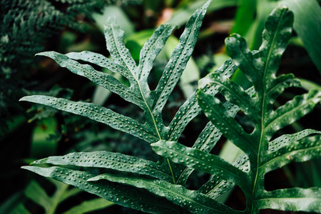 Water droplets sit elegantly on vibrant green leaves during the early morning.