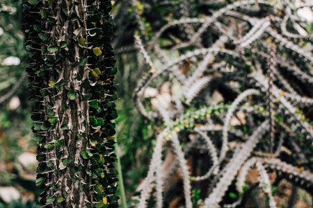 A tall cactus is intertwined with green leaves surrounded by various plants in a vibrant garden...