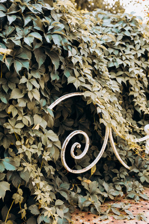 Lush greenery envelops elegant metal railings creating a serene atmosphere in the garden under bright sunlight.の写真素材