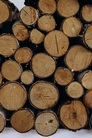 Wooden logs are neatly arranged showcasing their smooth surfaces and round shapes in a rustic setting.の写真素材