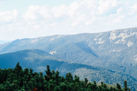 Vast mountain ranges covered in dense forest extend into the distance. Soft clouds scatter across a bright blue sky on a clear day.の写真素材
