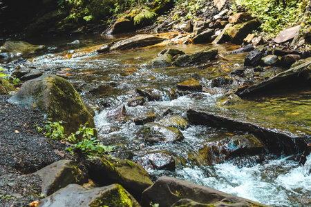 Crystal clear water cascades over smooth stones in a lush forest creating soothing sounds amidst...