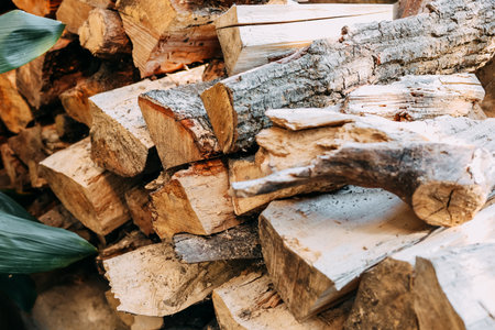 A neatly stacked pile of firewood lies in a warm indoor environment showcasing various logs and cuts prepared for winter use.の写真素材