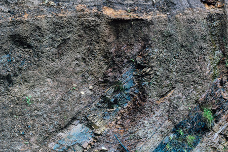 Layers of soil and rock are visible showcasing textures and colors along with patches of grass in a natural environment.の写真素材