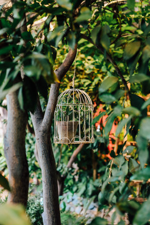 A beautifully designed birdcage is suspended from a tree branch surrounded by lush foliage in a tranquil garden during daylight hours.の写真素材