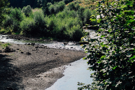 A calm river meanders through lush greenery with smooth stones lining the waters edge under sunlight...