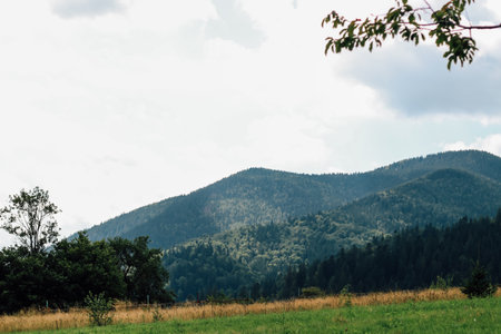 Rolling green Carpathians hills and distant mountains create a peaceful view under a cloudy sky during early afternoon.の写真素材
